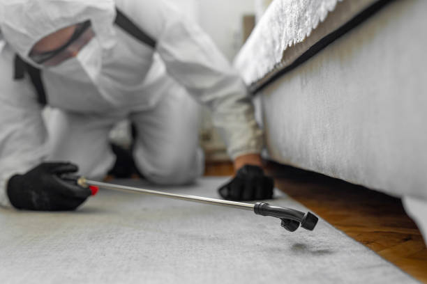 Professional Bed Bug Control technician working in Cape Carteret, NC
